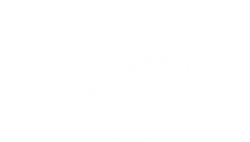 Lemon Garden